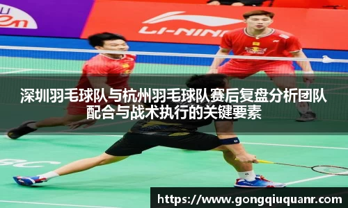 深圳羽毛球队与杭州羽毛球队赛后复盘分析团队配合与战术执行的关键要素